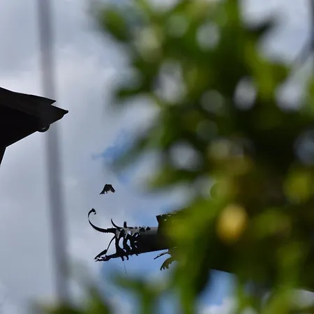 Casa vacanze Il Drago Al Roseto Del Drago *