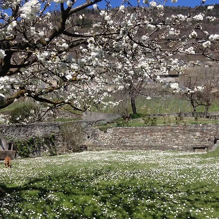 Il Drago Al Roseto Del Drago 펜션 San Bernardo (Sondrio)